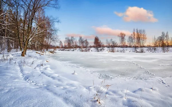 Uma lagoa congelada em um parque — Fotografia de Stock