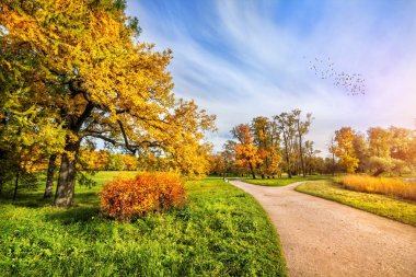 Sonbahar Park Tsarskoye Selo