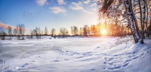 �������������� �������� A frozen pond and snow-covered trees — Stock Photo, Image