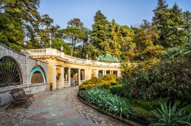 sochi içinde Botanik Bahçesi