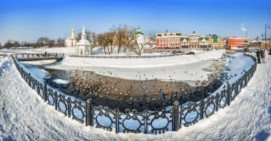 Sergiev Posad suda ördek yüzmek