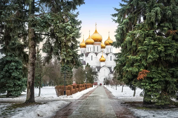 Ярославский собор среди зеленых елок — стоковое фото