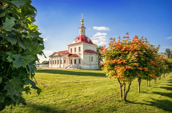 Ressurreição Igreja Kolomna Kremlin Número Árvores Jovens Dia Ensolarado Verão — Fotografia de Stock