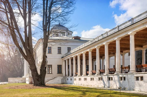 Maison Principale Domaine Ostafyevo Galerie Avec Colonnes Vieil Arbre Par — Photo