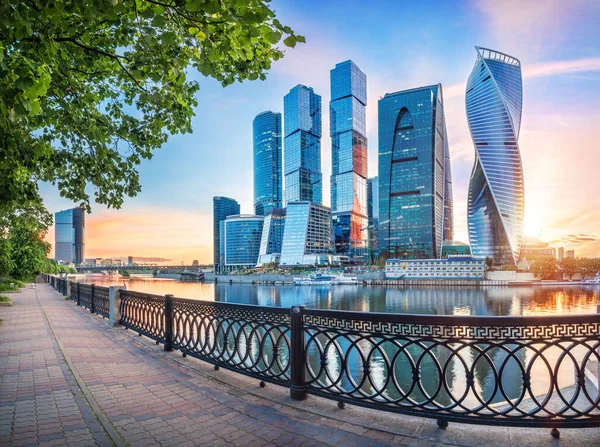 モスクワ市は モスクワ川堤防の開口部のフェンスの後ろに高層ビルや夕日の光の中で夏の木の緑の冠 — ストック写真