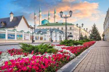 Kazan Kremlin bölgesinde kırmızı çiçekler ve Kul-Sharif camii güzel bir günbatımı gökyüzü altında
