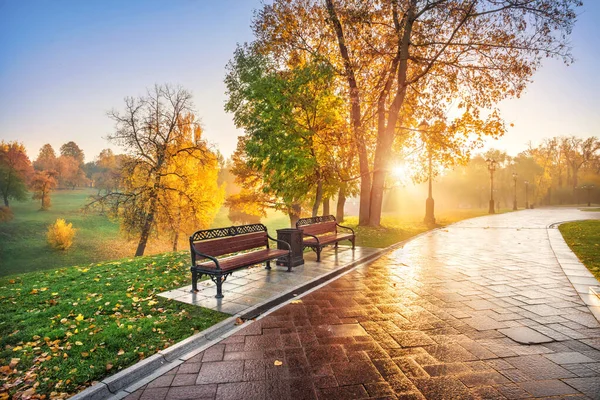 モスクワのツァリツィノ公園の黄金の秋の木を通して太陽の光と早朝のベンチ — ストック写真