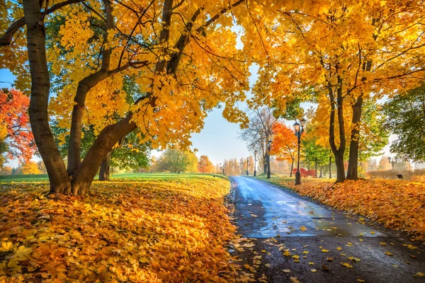 Подпись К Фото Осенняя Прогулка Подпись К Фото Осенняя Прогулка