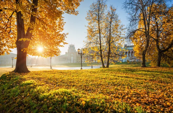 Höstfärger Träd Nära Palatset Tsaritsyno Moskva Tidig Solig Morgon — Stockfoto