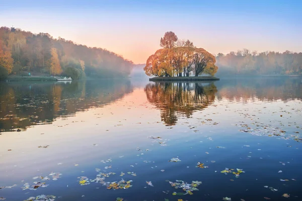 Tsaritsyno Damm Moskva Bland Morgondis Och Gyllene Höstträd — Stockfoto