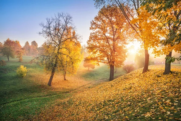Solstrålar Genom Gyllene Höstträd Ravin Tsaritsyno Park Moskva Tidig Solig — Stockfoto