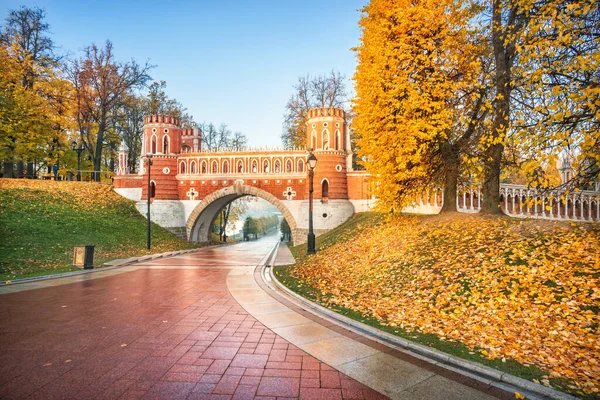 Ponte Figurada Tsaritsyno Moscou Entre Árvores Douradas Outono Uma Manhã — Fotografia de Stock