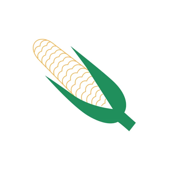Ilustracja wektor kukurydzy izolowane na białym tle — Wektor stockowy