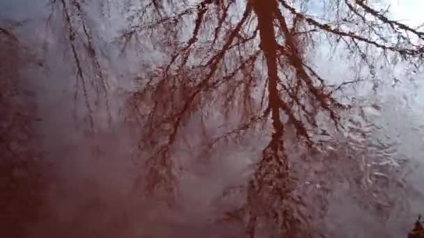 Krásná Tekoucí Voda Podzimní Žluté Listy Vodě Rozostřený Nebo Rozmazaný — Stock video