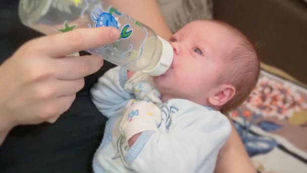 Mutter Hält Und Füttert Baby Aus Milchflasche Porträt Eines Süßen — Stockvideo