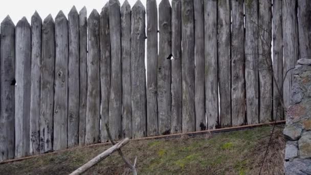 Старая Деревянная Стена Деревянного Дома — стоковое видео