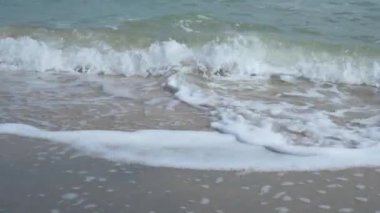 Kıyı şeridi. Küçük dalgalar kıyıya vuruyor..