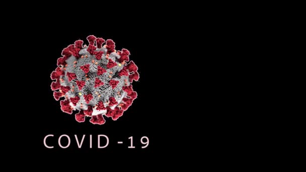 Coronavirus Animation 2019 Sars Cov Γνωστό 2019 Ncov Covid Επικίνδυνη — Αρχείο Βίντεο