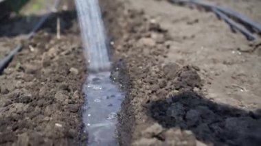 Ekmeden önce kuru toprağı dökün..