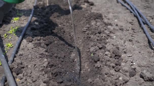 Vierta Tierra Seca Antes Plantar — Vídeo de stock