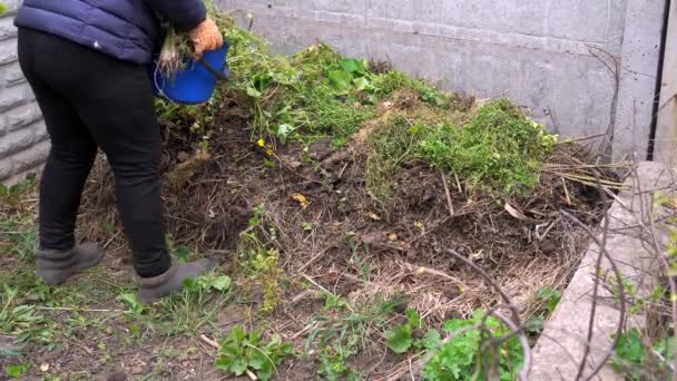 在后院做堆肥 一个女人扔了一堆被撕碎的植物 — 图库视频影像