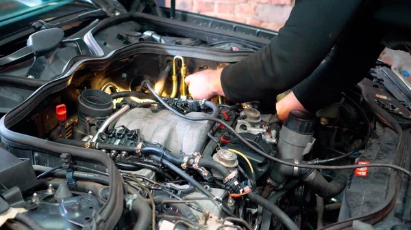 Mecânico Profissional Repara Motor Carro Loja Reparação Automóveis Serviço Carro Fotografias De Stock Royalty-Free