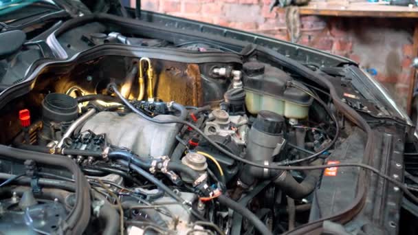 Mecánico Profesional Repara Motor Del Coche Taller Reparación Automóviles Servicio — Vídeos de Stock