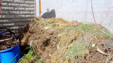 Evde organik gübre pişirmek. Arka bahçede gübre yığını. Toprağı çevre dostu bir şekilde gübrelemek..