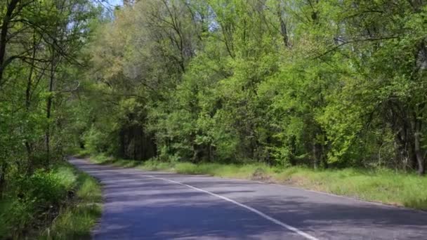 Asphaltstraße Durch Sattgrüne Vegetation — Stockvideo