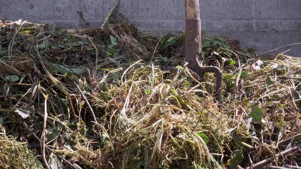 Tumpukan Kompos Halaman Belakang Pupuk Organik Dari Tanaman Kebun — Stok Foto