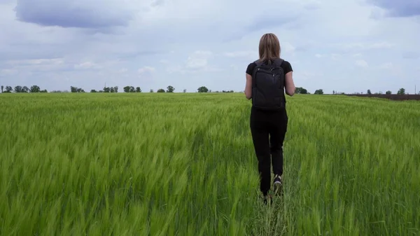 Bir Turist Sırtında Sırt Çantasıyla Buğday Tarlasında Yürür — Stok fotoğraf