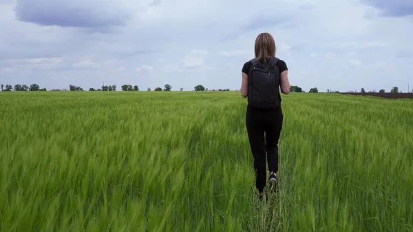 Een Toerist Loopt Een Tarweveld Met Een Rugzak Haar Schouders — Stockfoto