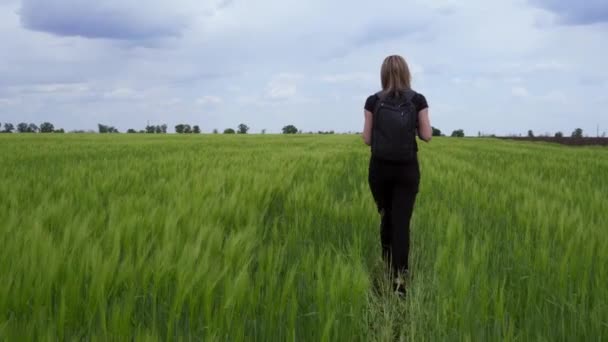 Una Turista Camina Sobre Campo Trigo Con Una Mochila Sobre — Vídeo de stock