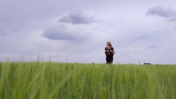 Bir Turist Sırtında Sırt Çantasıyla Buğday Tarlasında Yürür — Stok video