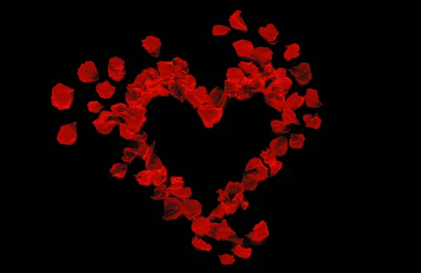 Coração de pétalas de rosa vermelha isolado no fundo preto em negativo — Fotografia de Stock