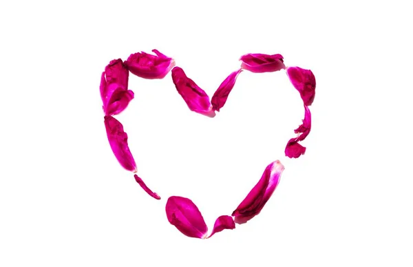 Coração das pétalas rosa isolado em branco — Fotografia de Stock