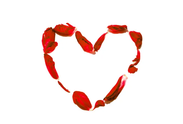 Coração das pétalas vermelhas isoladas em branco — Fotografia de Stock