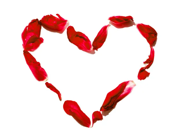 白い背景に孤立した赤い花弁のハート型。愛の概念 — ストック写真