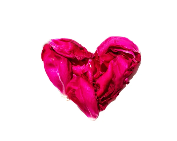 Серце з рожевих пелюсток ізольовано на білому — стокове фото