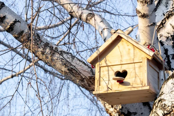 Vogelhaus mit herzförmiger Öffnung an Birke im zeitigen Frühjahr — Stockfoto