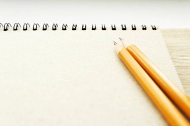 Bir muhabirin boş sayfasında iki kalem. Güneşli bir kitap günlüğü.