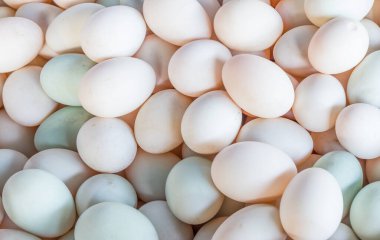 Arka plan için bir sürü taze ördek yumurtası.