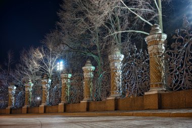 Dökülen kan, St.Petersburg kurtarıcı tapınak Mikhailovsky bahçesinde çitin gece görünümü