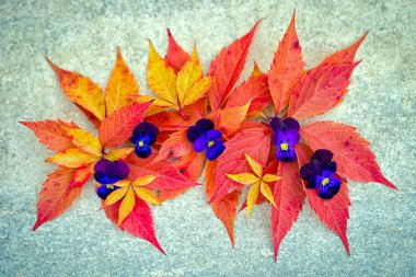 sonbahar yaprak ve çiçek dekorasyonu