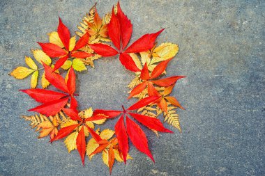 Birçok farklı renkli sonbahar yaprakları kopya alanı bir yan ve orta yazıt için bir nötr gri zemin üzerine gelen daire