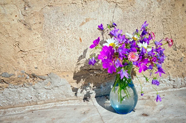 Ramo de flores silvestres - campanas azules, margaritas, trébol contra el fondo de una pared de hormigón con espacio de copia enemigo de su texto —  Fotos de Stock