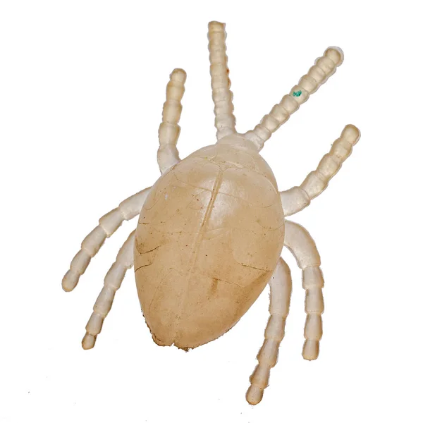 玩具副本甲虫、 顶视图，在白色背景上孤立 — 图库照片