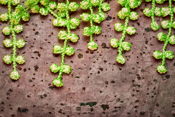 Hojas verdes con una franja de encaje en el fondo de corcho marrón . —  Fotos de Stock