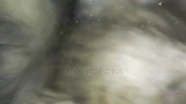 Çamaşırhane dolaşım çamaşır makinesinde ön kapıdan yakın çekim.