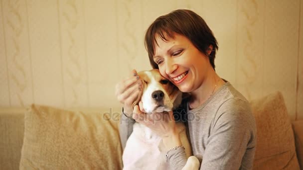 Mujer con perro beagle, sentado en el sofá interior y toallitas por las orejas lágrimas juguetonamente . — Vídeo de stock